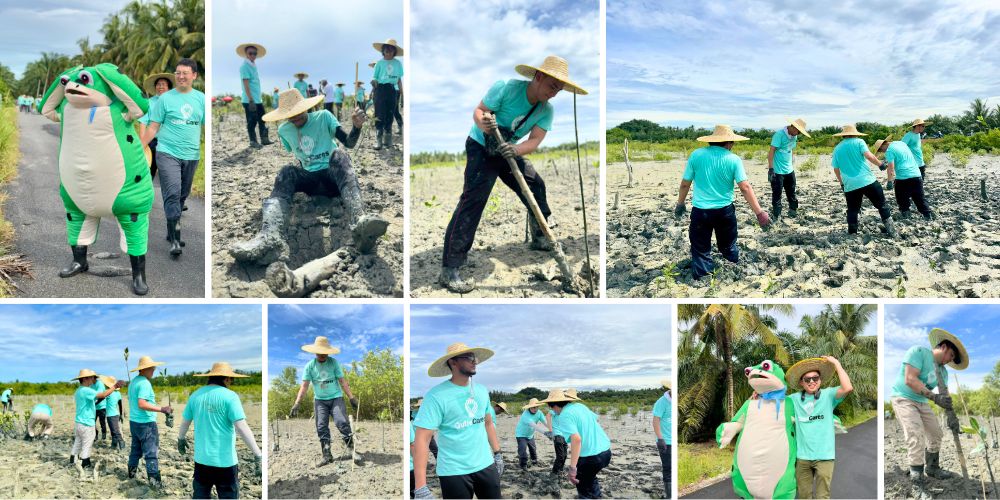 QubeApps CSR program, QubeCares, Roots of Change, mangroves planting at Sekinchan under the hot sun