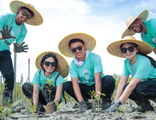 Roots of Change: Planting Hope in the Muddy Fields of Sekinchan